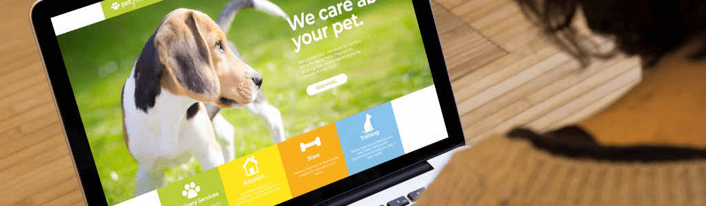 Laptop mit einer geöffneten Webseite über Haustiere neben einer Person, als Symbol für den Unterschied zwischen reiner Reichweite und echter Verbindung, was wirklich zählt.